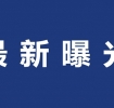 六安一地追责问责31人！