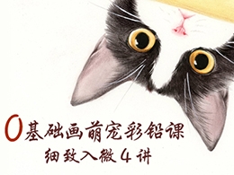 Photoshop软件教学视频第一章 选区与图层