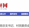 严重违纪违法！裕安区平桥乡原南外村党总支书记、村民委员会主任吴昌国被开除党籍