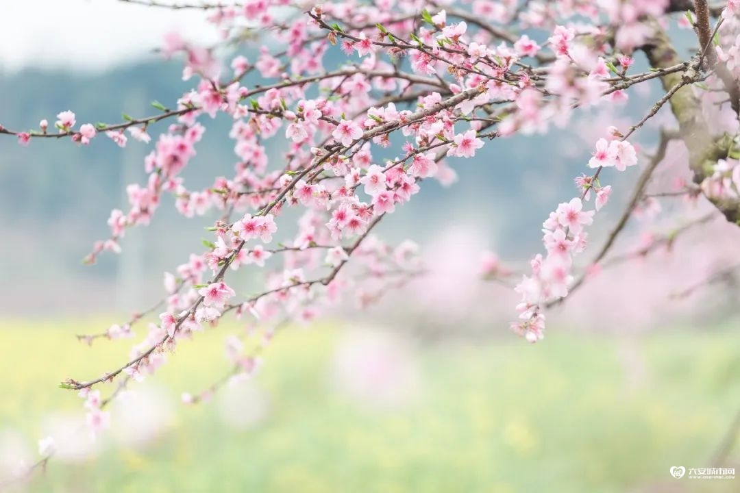 5ebe939b94f1b01b341c67c27d63f201.jpeg