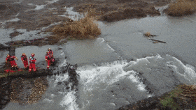 43dd3f6c9ff04f16f7358014d51bfd33.gif