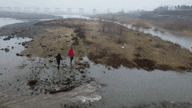 8ae1192466b74162643b61144d8a8823.gif