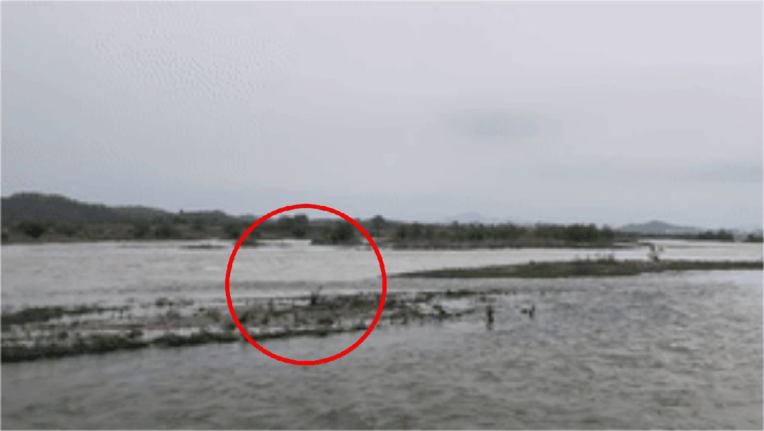 8e7554b7e2b61f3728237a2364af90df.gif