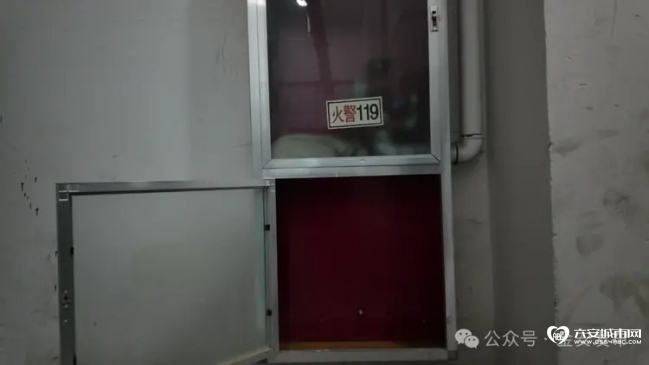 1246_看图王.web.jpg