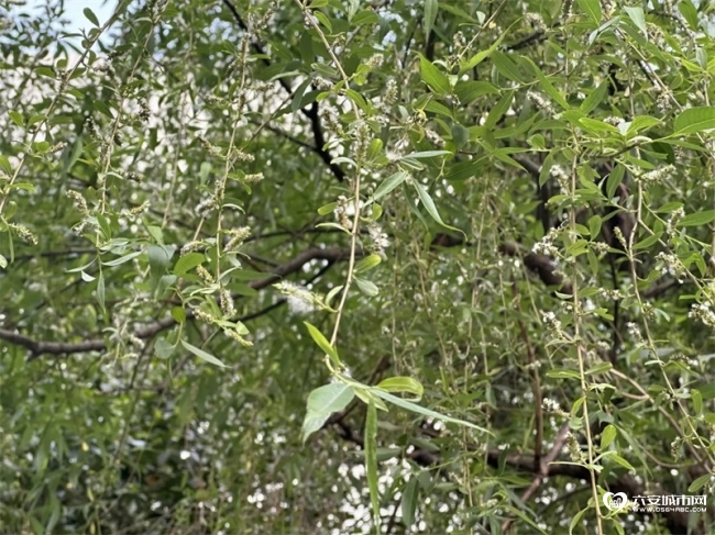 465_看图王.web.jpg