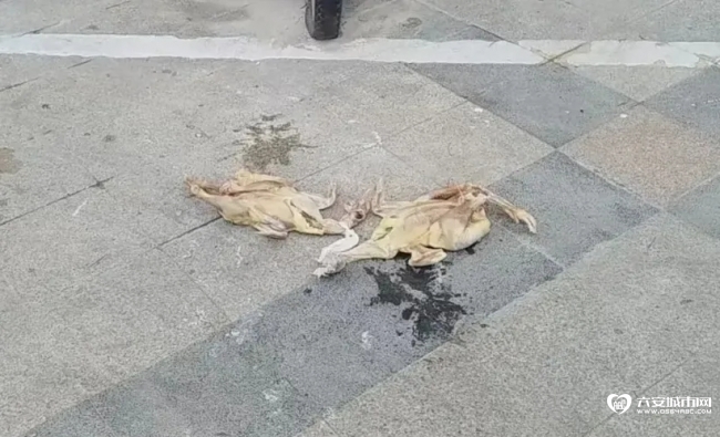 6_看图王.web.jpg