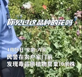 微信图片_20250507091741.png