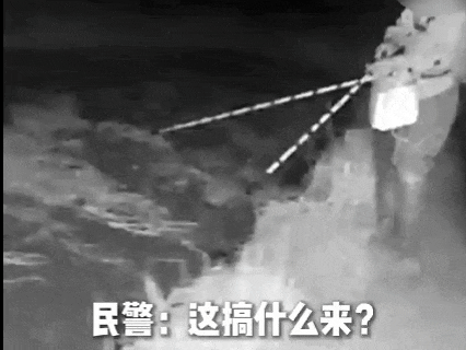444.gif