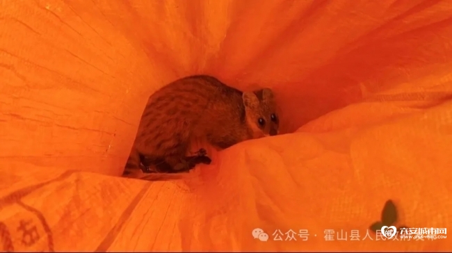 466_看图王.web.jpg